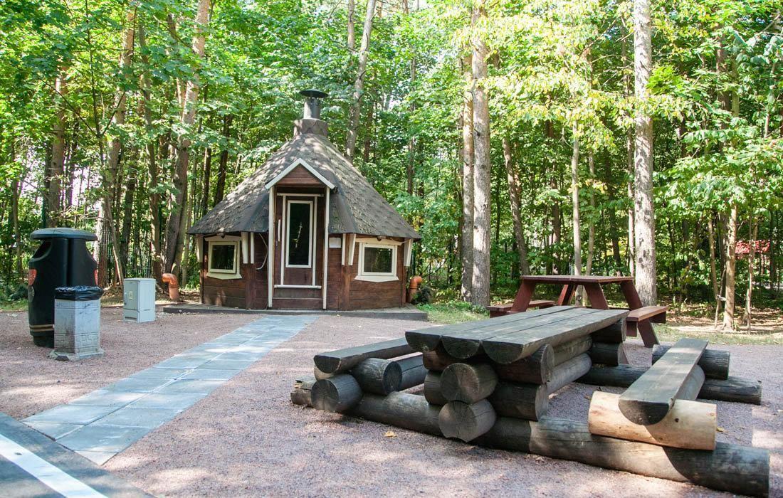 Кемпинг в Сокольниках у Путяевских прудов, фото 5