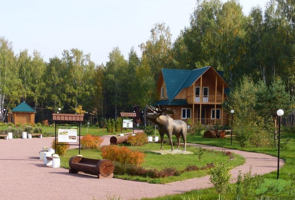 Просторная беседка на 25 человек в парке Лосиный Остров, фото 3