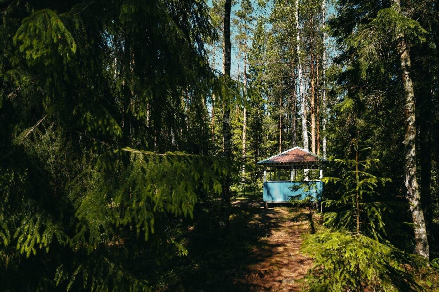 Аренда беседки на 8 человек в лесной местности у озера, фото 3