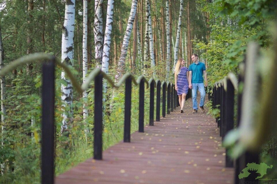 Просторная беседка на 25 человек в парке Лосиный Остров, фото 2