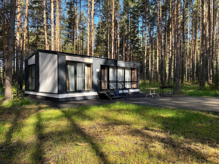 Барнхаус глэмпинга «Шишки» 47 м² до 4 гостей