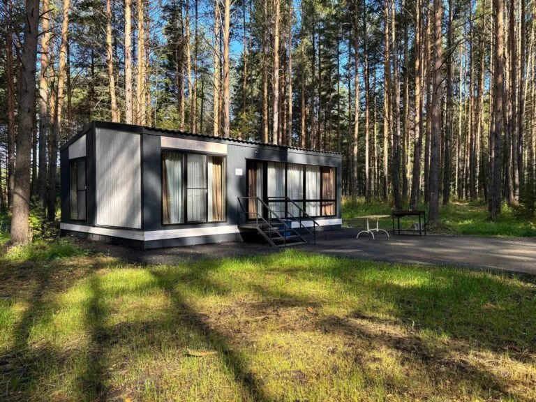Барнхаус глэмпинга «Шишки» 47 м² до 4 гостей