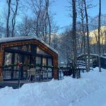 База отдыха Шёпот леса в Архызе, общий вид: дома в снегу