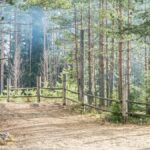 Туркомплекс Карьяла Парк на реке Шуя, общий вид: лесная дорожка