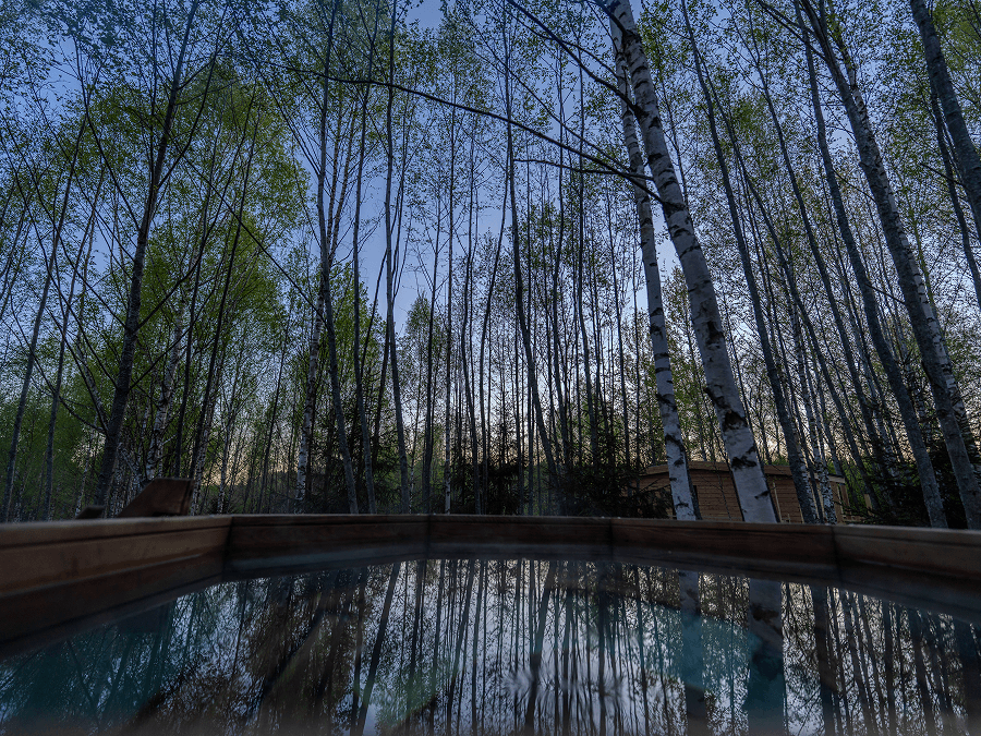 А-фрейм с панорамными окнами и баней на 4 гостей - MY LITTLE FOREST (фото 2)