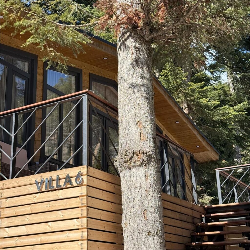 Шале Peak Chalet с панорамными окнами на горы до 8 гостей: терраса шале