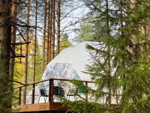 Панорамный купол «Петроглифы» до 4 гостей