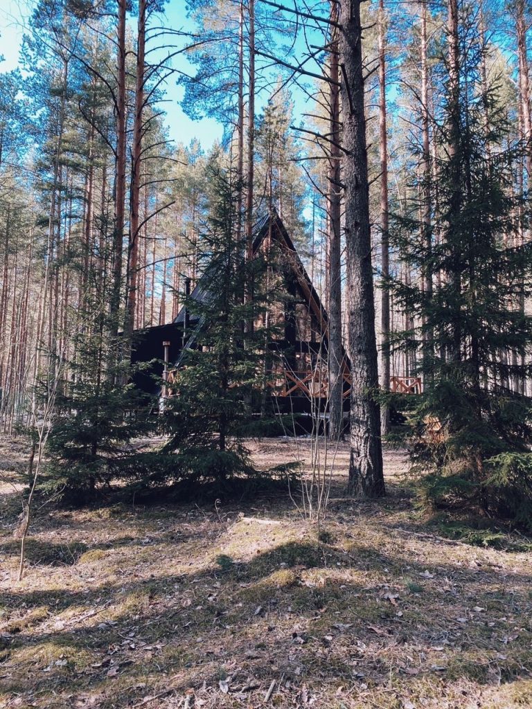 Дом «Hitola» на 170 м² с кедровой баней и купелью на 10 гостей - The Lagom Лосево (фото 2)