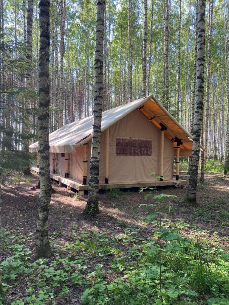 Четырёхместный сафари-тент с террасой, до 4 гостей: шатёр в сосновом лесу