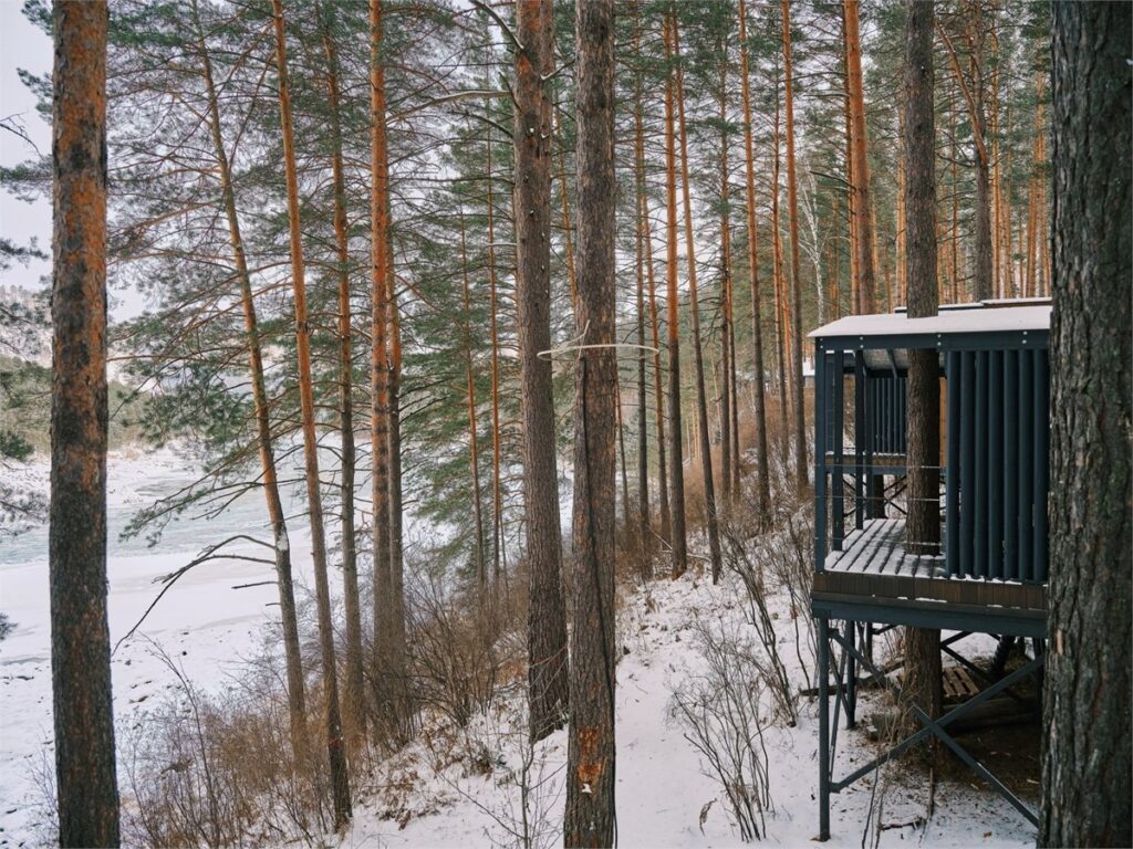 Дом-люкс 30 м² с панорамными окнами в соснах до 4 гостей: дом среди заснеженных сосен