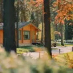 Туркомплекс Grand Chalet Altay в Бирюзовой Катуни, общий вид: шале на лужайке