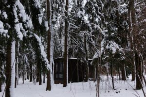 Мини-дом в лесу №4 с панорамными окнами до 2 гостей