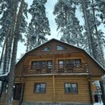 Шале Нарат в Архызе, общий вид: коттедж зимой среди сосен
