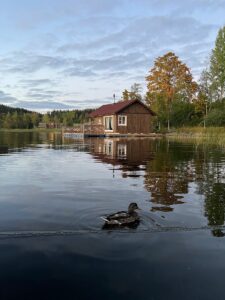 Плавдом «Laatokka» 60 м² с баней и панорамным окном до 4 гостей