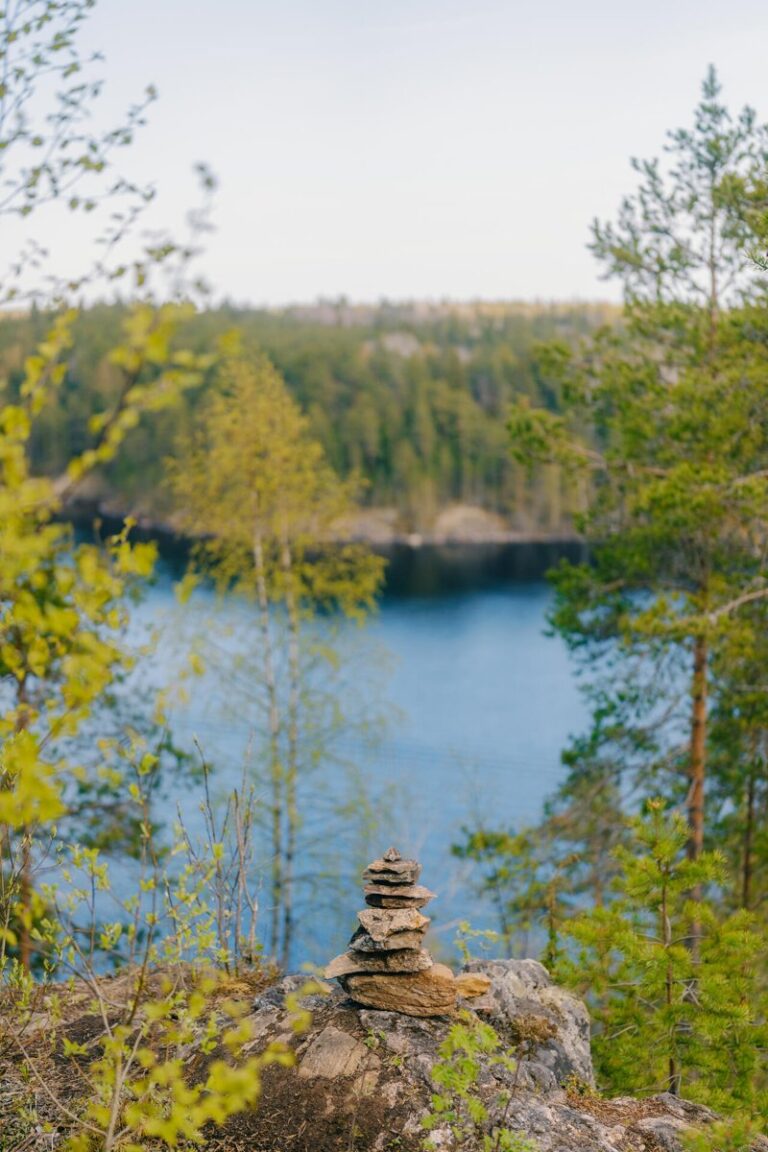 Глэмпинг «Вили Улей Карелия»