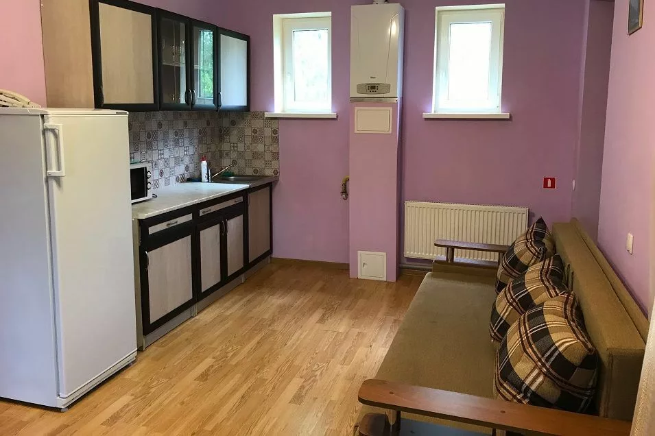 Дом для пары «Дом влюблённых» 46 м² до 4 гостей: кухонный уголок и диван