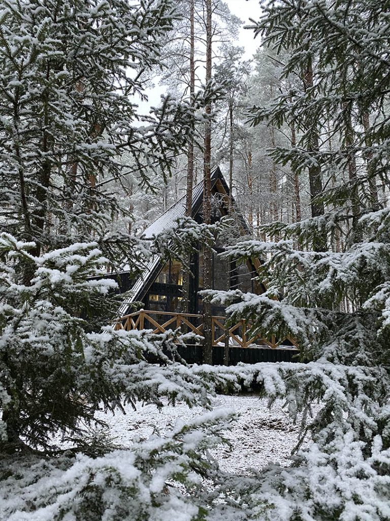 Дом «Hitola» на 170 м² с кедровой баней и купелью на 10 гостей - The Lagom Лосево (фото 6)