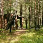 Глэмпинг Хижина в лесу у Мезенского, общий вид: хижины среди сосен