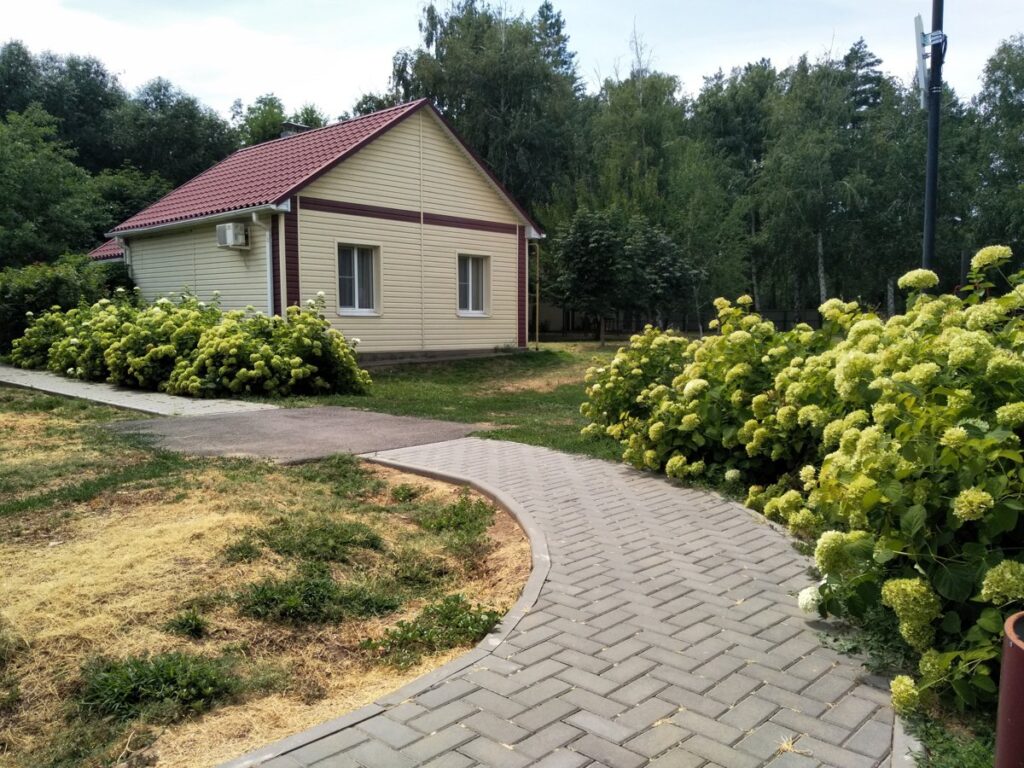 Одноэтажный дом с тёплым полом до 4 гостей, 6 одинаковых: дом среди гортензий