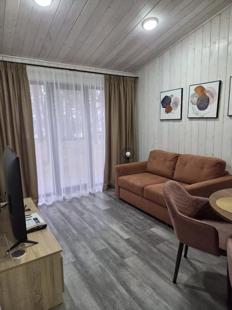 Барнхаус глэмпинга «Шишки» 47 м² до 4 гостей, База отдыха «Сосновый бор»: гостиная с диваном