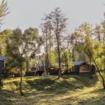 Парк-отель Благоречье на Наре, общий вид: дома среди деревьев