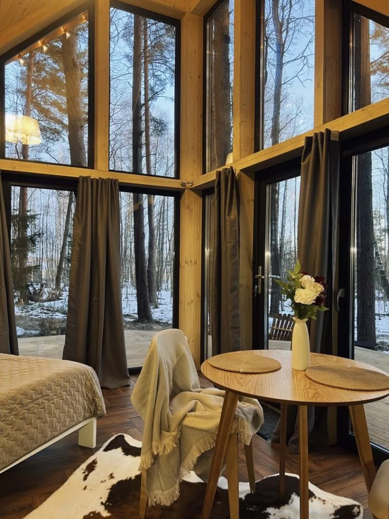 Дом «Призма» с панорамным остеклением и купелью на 2 гостя - The Lagom Лосево (фото 10)