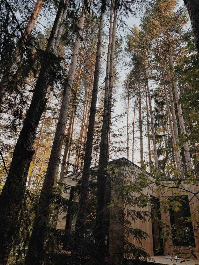 Глэмпинг «Dushevno House»