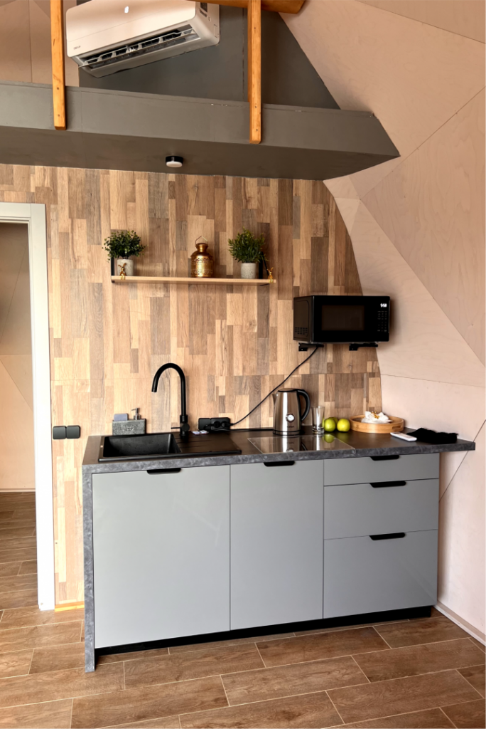 Деревянный купол Sphere 40 м² у реки с купелью до 6 гостей: кухонная зона