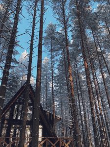 Дом «Vuoksa» с двумя санузлами и кедровой банькой на 6 гостей