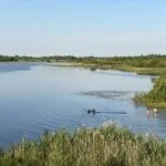 Место отдыха в каталоге