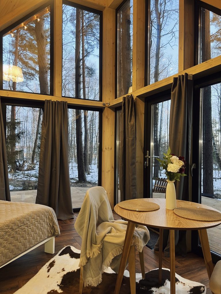 Дом «Призма» с панорамным остеклением и купелью на 2 гостя - The Lagom Лосево (фото 6)