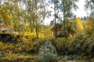 Панорамная студия с окнами во всю стену на Катунь до 4 гостей