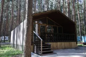 Барнхаус №1 в тёмном дереве с панорамой до 8 гостей