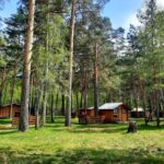 База отдыха Парк на Камнях в Бердске, общий вид: домики среди сосен