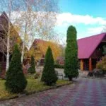 База отдыха Теремок в Гуамке, общий вид: деревянные домики с красными крышами