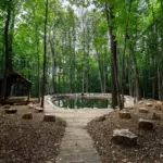 Загородный комплекс Odin House, общий вид: лесная поляна с прудом