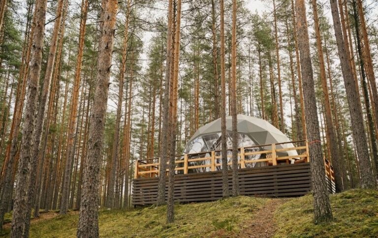 Купольная сфера 40 м² с панорамным окном до 4 гостей