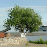 Форт Константин в Кронштадте, общий вид: панорама форта с воды