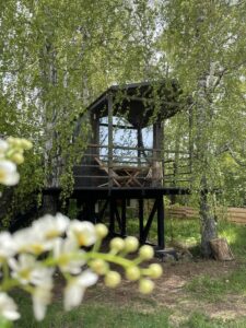 Домик на дереве для двоих с террасой в кронах