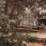 Купольные беседки В парк на Юрина, общий вид: купол среди деревьев