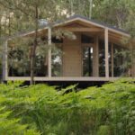 Парк-отель WOOD WOOD WOOD в Бердске, общий вид: дом среди папоротника