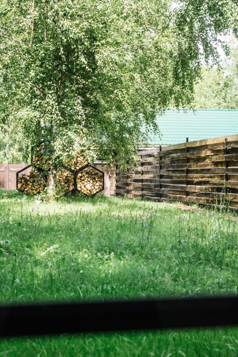 Эко-отель «Гармония тишины» в Михальчикове