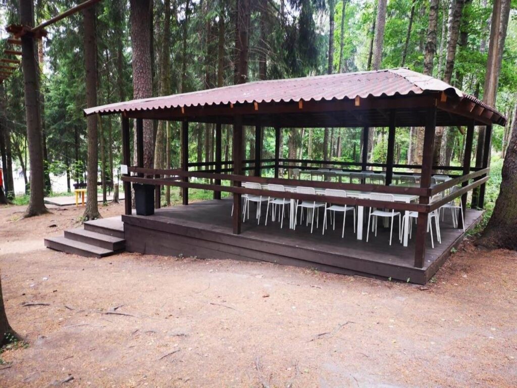 Верёвочный парк «Tree To Tree» в Репино