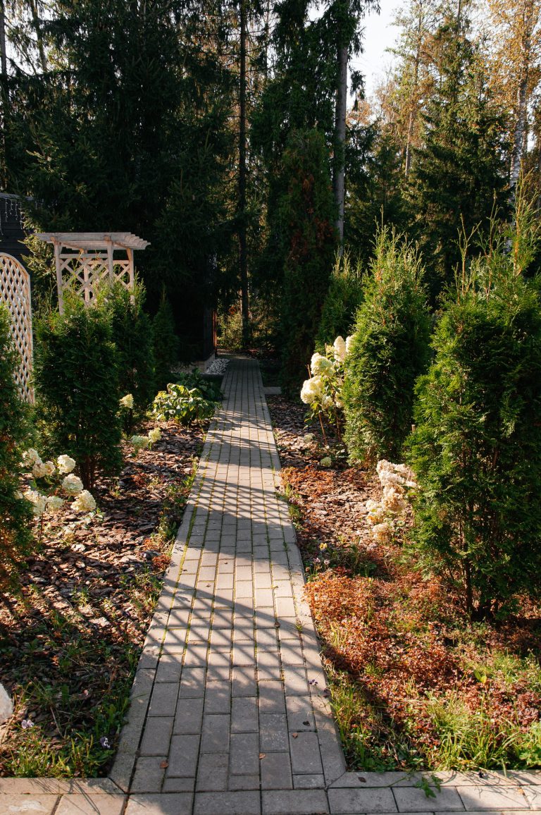 Лопановичъ Spa PARK