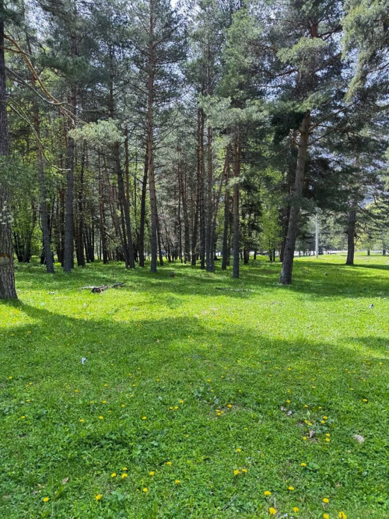 База отдыха «Азгард» в Архызе
