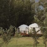 Три одинаковых купола с банным чаном до 4 гостей: два купола у рощи