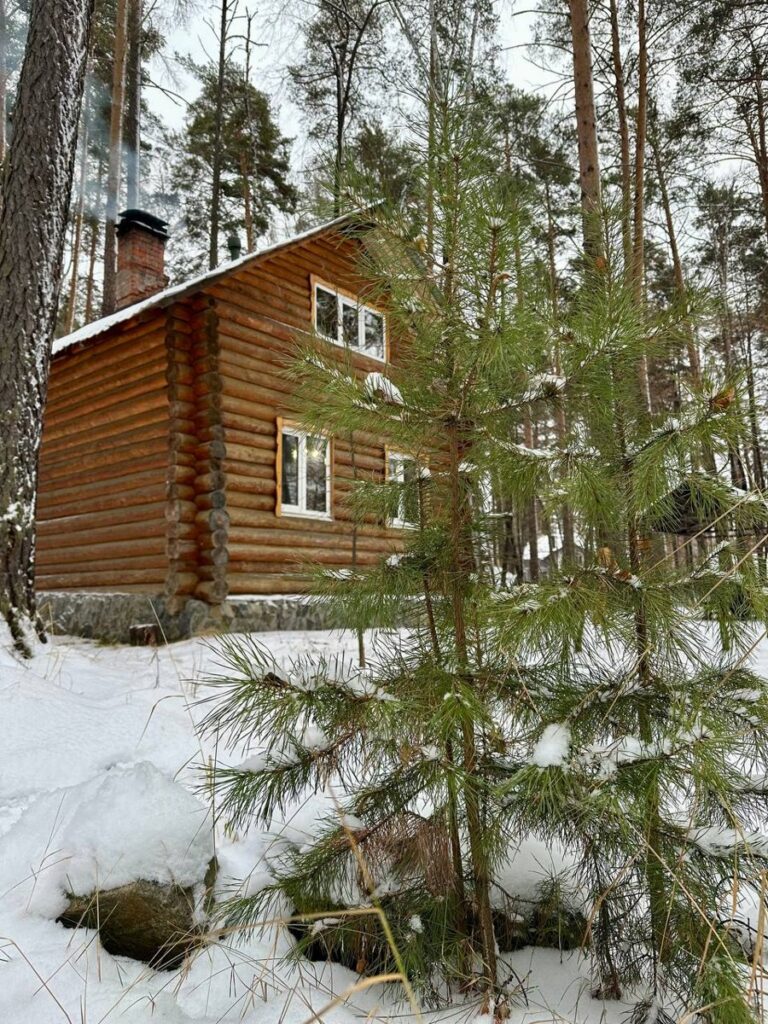 Дом-сруб с камином и своей мангальной зоной до 6 человек