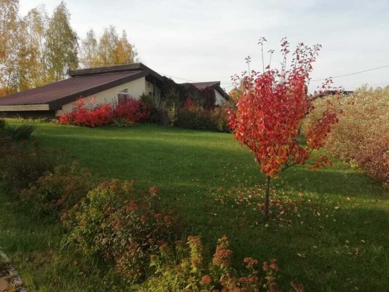 Гостевой дом «ХУТОРОК» в Нововолково