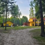 База отдыха Щукино на Волге, общий вид: территория с домиками в соснах