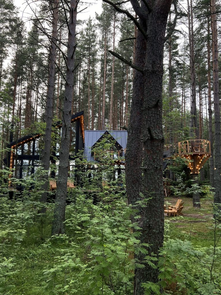 Дом «Архитектора» с террасой на дереве и телескопом на 9 гостей - The Lagom Лосево (фото 2)